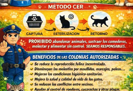 Peñarroya-Pueblonuevo impulsa una colonia felina autorizada y protegida con el método CER